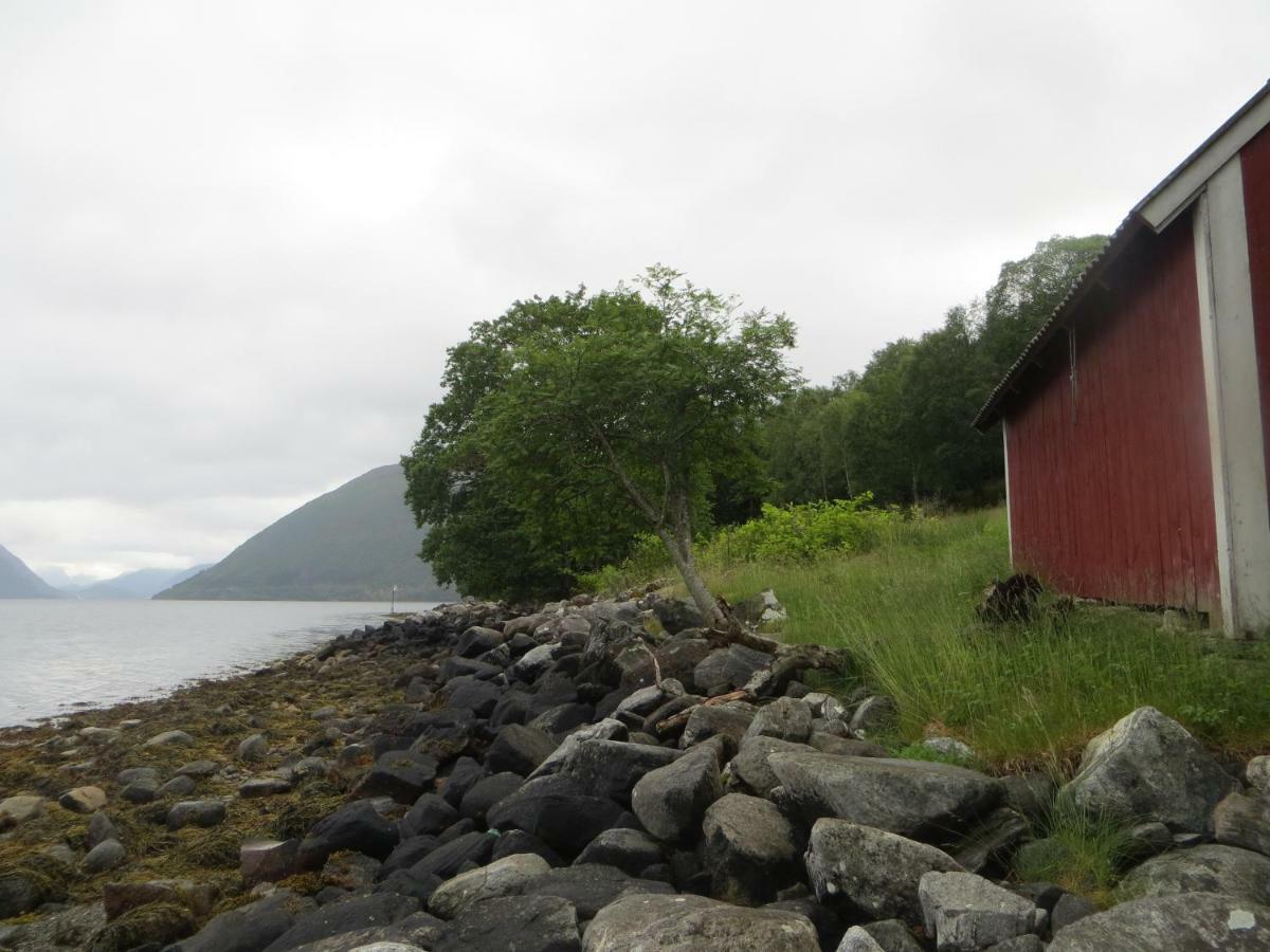 Ferienhaus Tiny House With Fjordview!