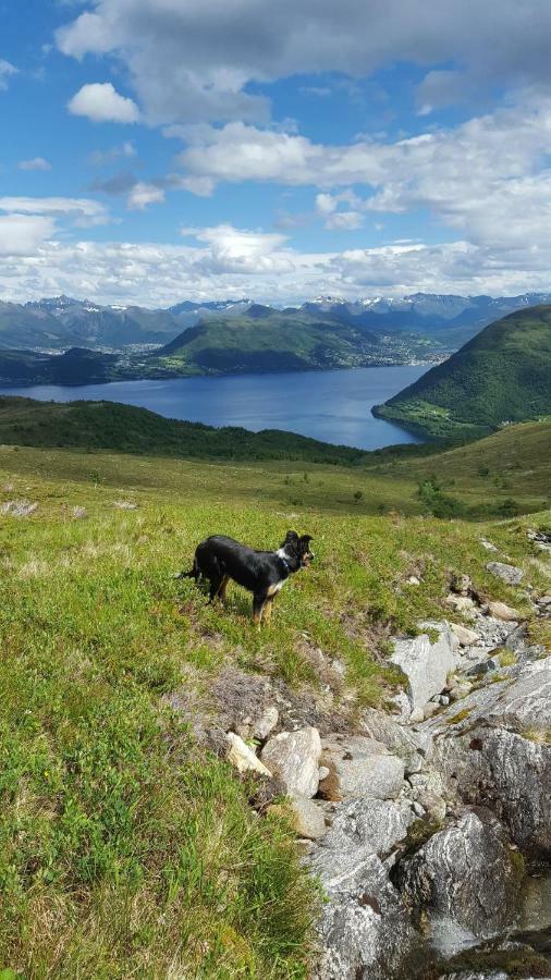 Tiny House With Fjordview! * Lauvstad